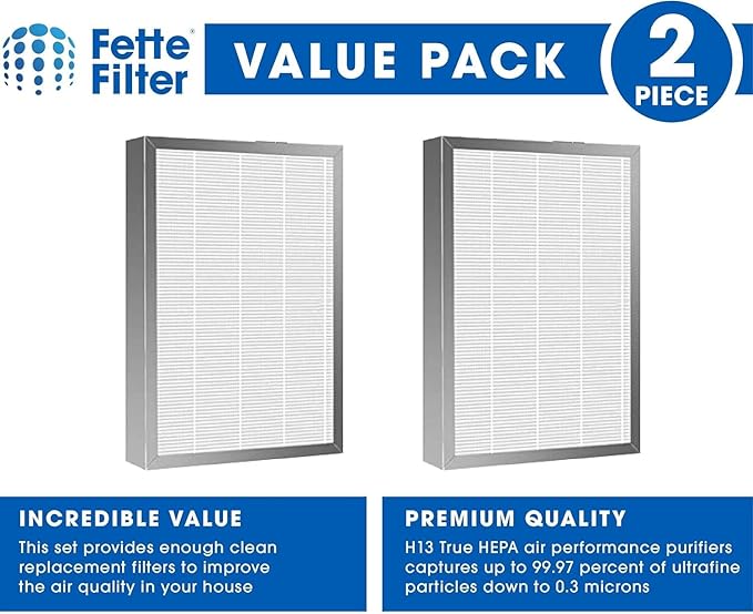 Fette Filter - Premium H13 True HEPA Replacement Filter Compatible with MA-25 Air Purifier with 3-in-1 filtration system. Includes 2 Hepa Replacements for models 25/US B1/S1/W