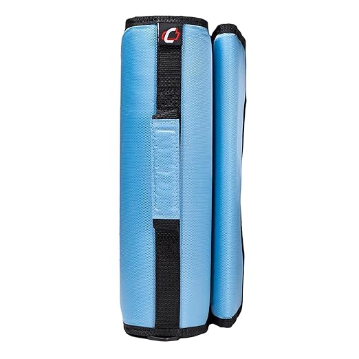 Med Manager Medicine Organizer and Portable Medical Binder, Holds (15) Pill Bottles - (11) Standard Size and (4) Large Bottles, Includes Removable 5-Tab File Folder, Light Blue, 14 x 14 x 4 inches