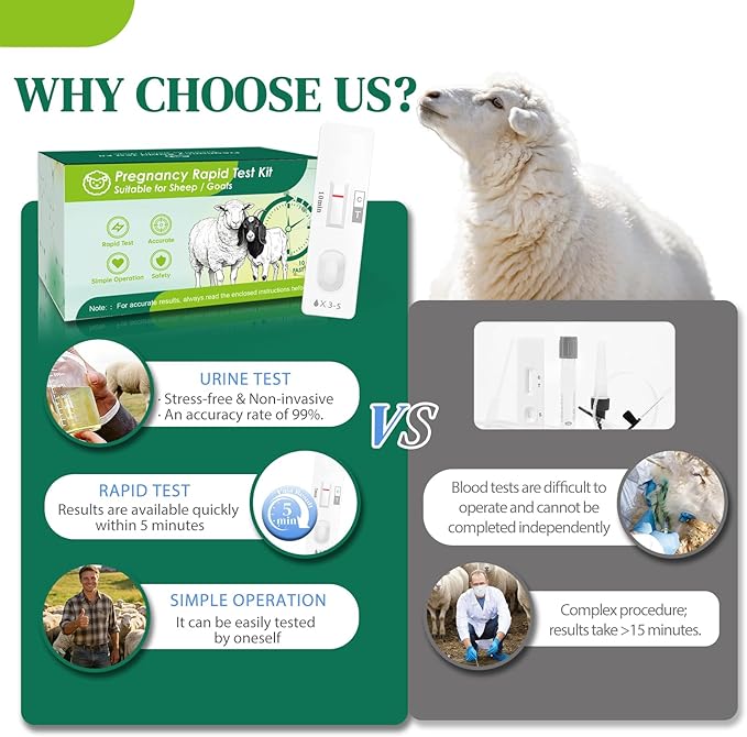 10-Pack Sheep & Goat Pregnancy Test Strips - Fast 5-10 Minute Urine Detection Kit for Early Breeding Confirmation, Accurate Livestock Testing for Home Farms