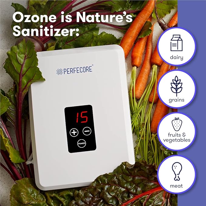 Water Ozonator - Odor Eliminator and Fresh Water Machine w/Diffuser Stones and Timer - For Home, Kitchen, Fruits & Vegetables - 600 mg/Hour﻿