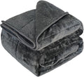 Throw Sherpa Weighted Blanket 20 lbs - 60"x80" for Adults, Fleece Fluffy Fuzzy Cozy Plush Washable Heavy Blanket, Super Soft Warm for Queen Full Size Bed in Winter