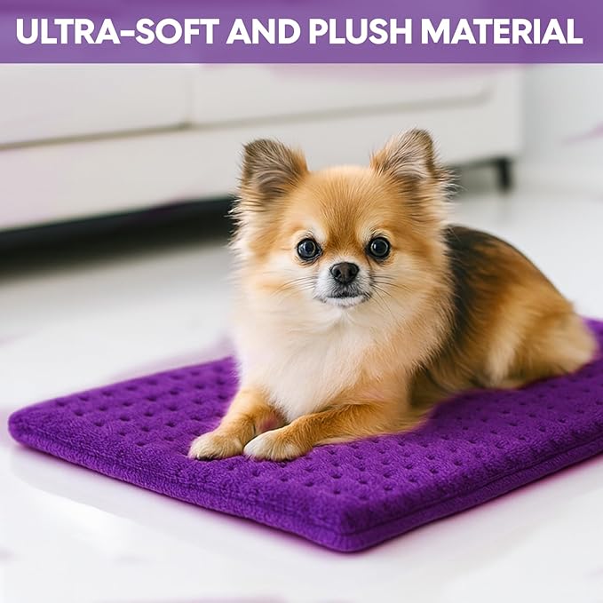 Heating Pad,Electric Heating Pads for Back,Neck,Abdomen,Moist Heating Pad for Shoulder,Knee,Arms,Legs,Dry/Moist Heat & Auto Shut Off,Birthday Gifts for Men and Women, 24x12 Inch(Purple)