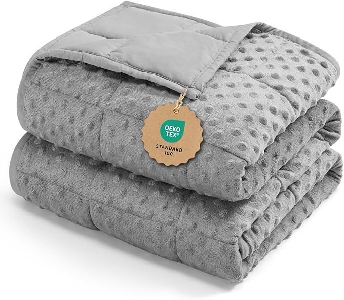 Kivik Weighted Blanket 20 lbs for Adults, Minky Dot Heavy Blankets, Microfiber Reversible Weighted Throw Blankets for All Seasons, Machine Washable, 60"x80" Queen Size, Grey