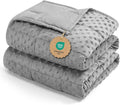Kivik Weighted Blanket 20 lbs for Adults, Minky Dot Heavy Blankets, Microfiber Reversible Weighted Throw Blankets for All Seasons, Machine Washable, 60"x80" Queen Size, Grey