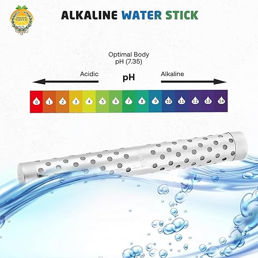 Alkaline Hydrogen Water Ionizer Stick – Stainless Steel Portable pH Booster & Mineral Water Enhancer by Organic Greek®