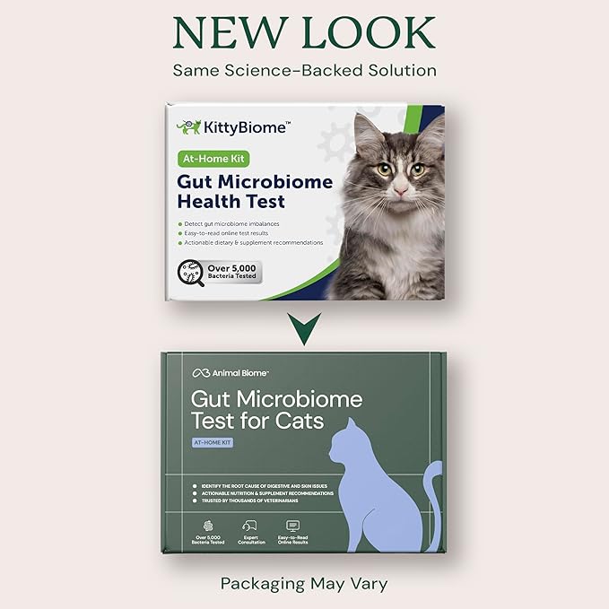 AnimalBiome Cat Gut Health Test – KittyBiome At Home Stool Testing Kit, Feline Fecal Analysis for Digestive Issues, Diarrhea & Allergy Insights w/Personalized Report & Custom Plan (Cats Outside US)