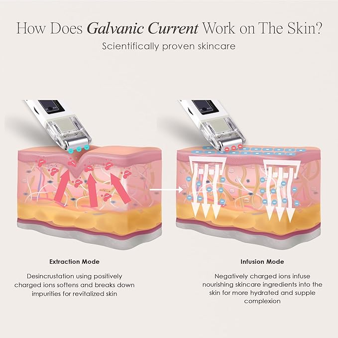 Project E Beauty Portable Rechargeable Galvanic Device | Skin Care Reduce Wrinkles Skin Tightening Firming Fine Lines Desincrustation Deep Pore Cleansing Rejuvenation Device