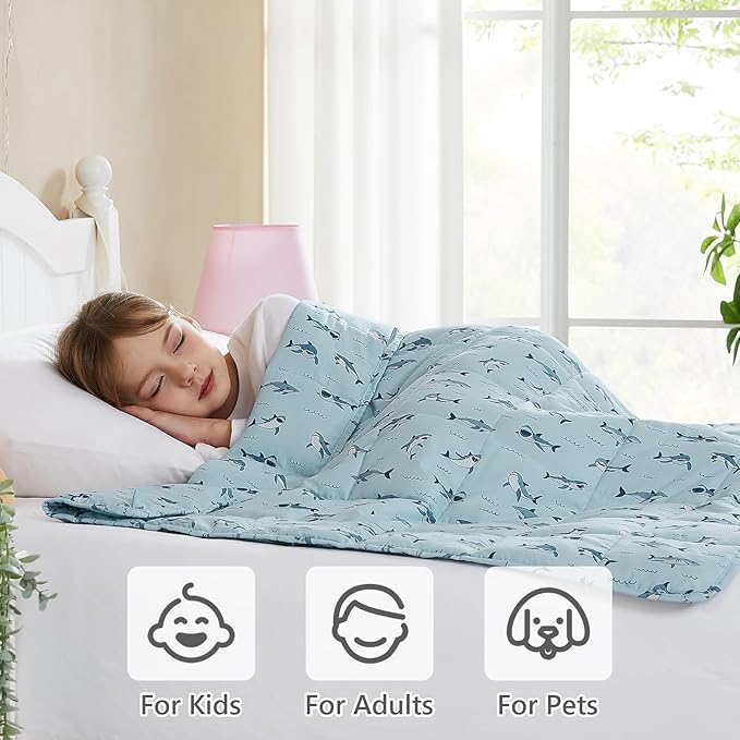 L'AGRATY Weighted Blanket - 36"x48" 5lbs Microfiber Material with Glass Beads Small Blanket for All-Season Summer Fall Winter Soft Thick
