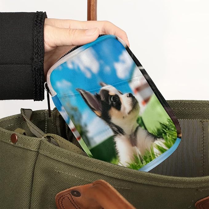Cute Husky Print Travel Pill Organizer Bag Portable Weekly Pill Box Travel Medicine Organizer 7 Day Pill Case with Zipper for Daily Travel Family Business
