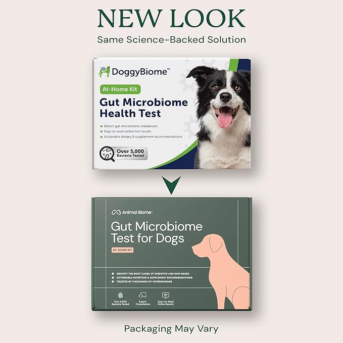 AnimalBiome Dog Gut Health Test – DoggyBiome At Home Stool Testing Kit, Canine Fecal Analysis for Digestive Issues, Diarrhea & Allergy Insights w/Personalized Report & Custom Plan (Dogs in US)