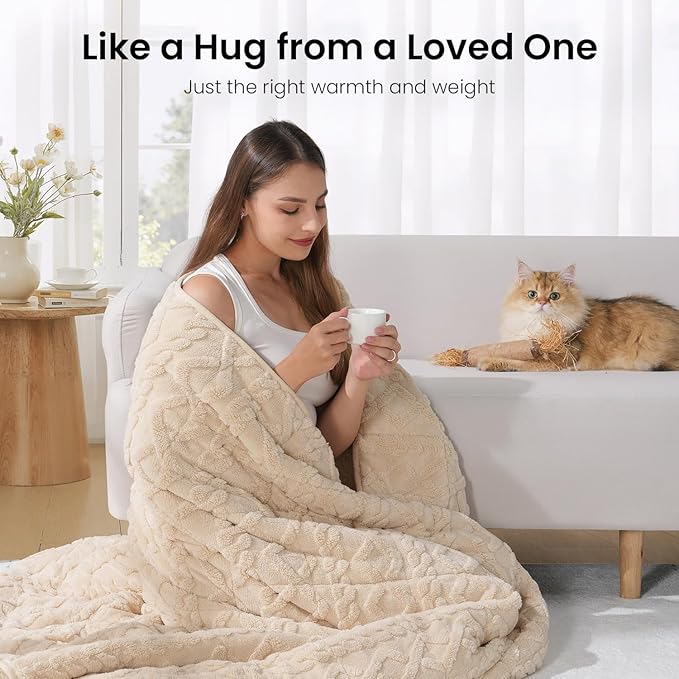 Weighted Blanket Queen Size 15lbs, Classy Soft Jacquard Sherpa Weighted Blankets for Sleep Natural and Calming, Fluffy Cozy Sofa Bed Blanket for Winter, Beige, 60 x 80 inches
