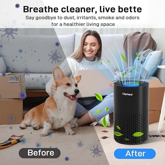 Air Purifiers for Home Bedroom Up to 1250 Ft² - HEPA Air Purifier with Aroma & Sleep Mode - 24dB Small Room Air Purifier for Allergies, Smoke, Dust, Pollen, Pet Dander,4000B,Black