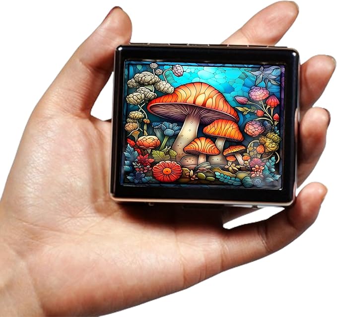 Silver Vintage Pill Box 7 Day Metal Pill Box with Mirror and 8 Compartments Cute Travel Pill Organizer for Purse (Mushroom Stained Glass)