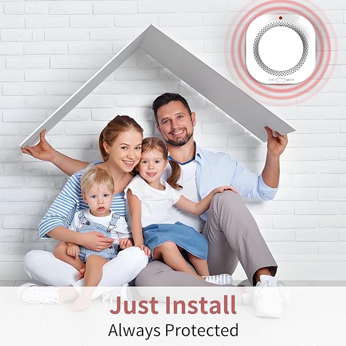 Smoke Detectors for Home,Photoelectric Wireless Fire Alarms Replaceable Battery Powered,Portable Smoke Alarm with Test/Mute Button,Attic Smoke Detector,12 Pcs