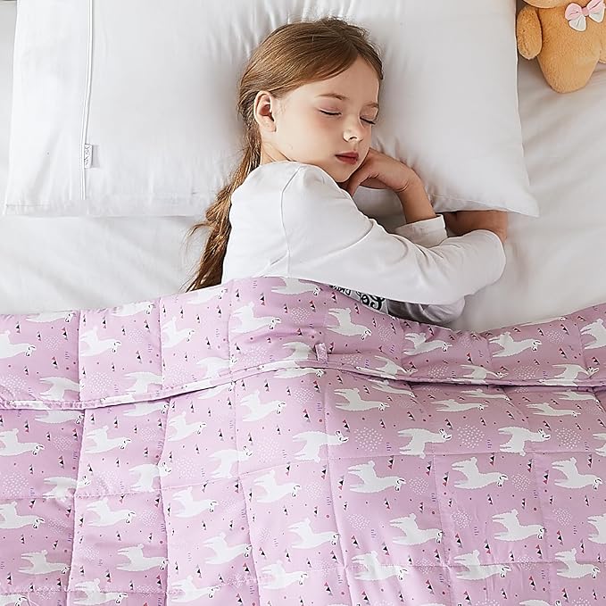 L'AGRATY Weighted Blanket - 36"x48" 5lbs Microfiber Material with Glass Beads Small Blanket for All-Season Summer Fall Winter Soft Thick