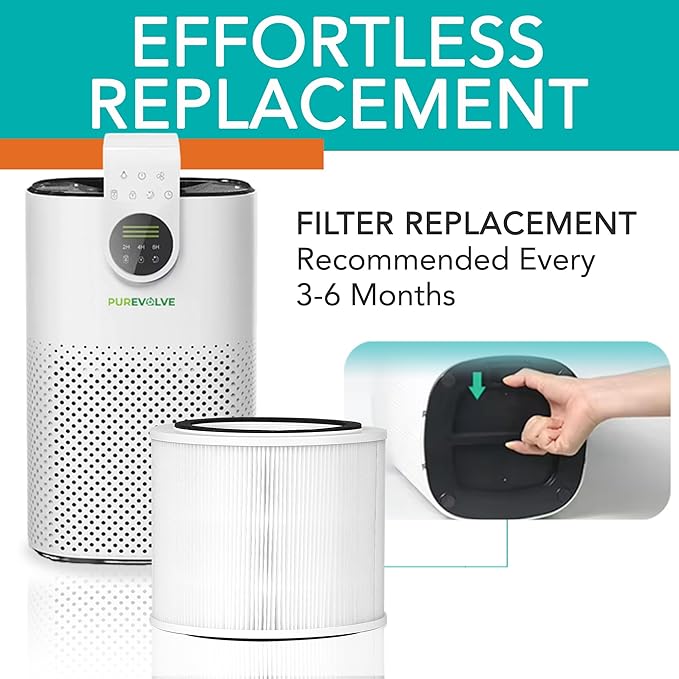 Filter Replacement for H250 HEPA-13 Air Purifier | 2-Pack