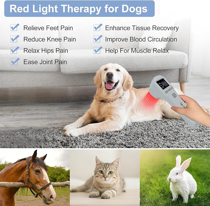 Red Light Therapy Device, 4x808nm+16x650nm, Near Infrared Red Light Therapy for Body Pain Relief, Knee Feet Back Leg Muscle Relax, Red Light Therapy Machine for Human and Pets Dogs Horse