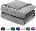 Wemore Weighted Blanket for Adults Queen Size 15 lbs, Minky Dot Cooling Heavy Blankets, Cozy Soft Washable Throw Blanket with Glass Beads, Grey 60 x 80 inches