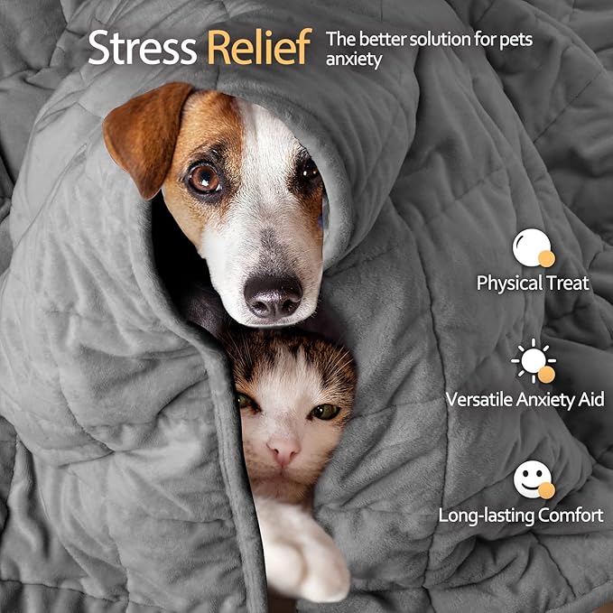 LaSyL Weighted Blanket for Pets | Thunder Blanket for Dogs Anxiety | Premium Soft Minky | Relaxation & Calming & Anti Anxiety | Used in Car, Bed, Couch | Dark Grey, Washable Medium (32"x40")