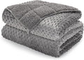 Minky Dot Weighted Blanket for Adults Queen Size 15 lbs, Soft Cozy Heavy Blanket for Stress Relief and Sleep Promotion, Warm Blanket for Autumn Winter with Glass Beads, Grey 60 x 80 inches