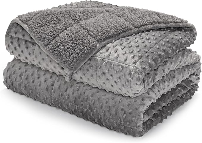 Minky Dot Weighted Blanket for Adults Queen Size 15 lbs, Soft Cozy Heavy Blanket for Stress Relief and Sleep Promotion, Warm Blanket for Autumn Winter with Glass Beads, Grey 60 x 80 inches