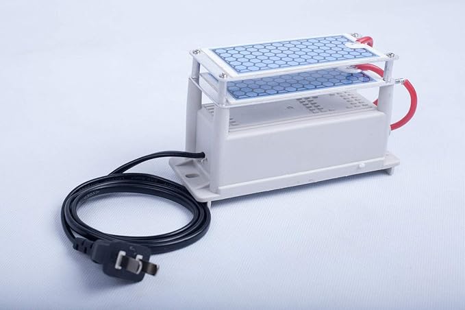 Ozone Generator air purifier 10000 mg/h Equal to 10g/h ozone plates ozone maker machine 110V