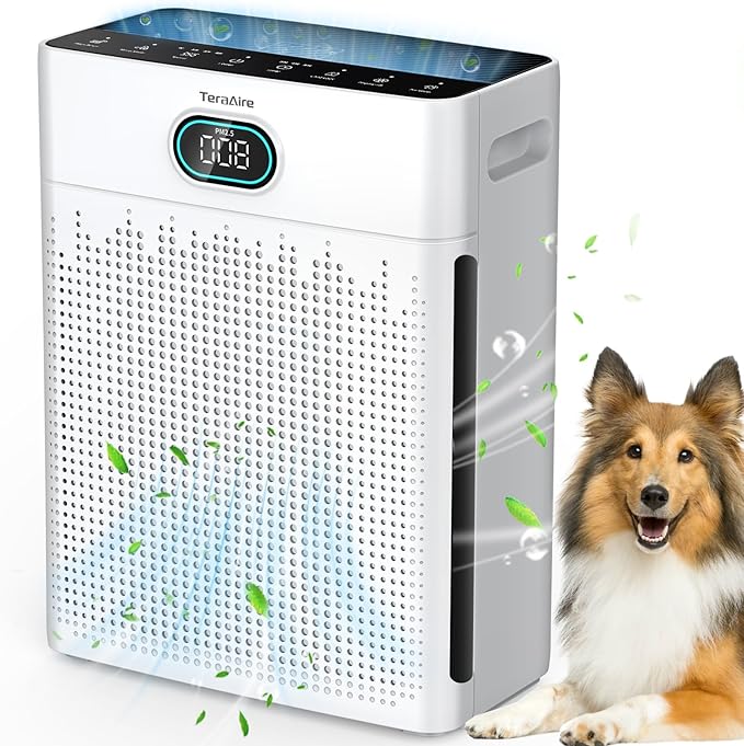 Air Purifiers for Home, PM 2.5 Air Quality Monitor Cover Up to 2200 Ft² with Pet mode, Timer, HEPA Air Purifier with Washable Pre-filter, Fragrance Sponge for Smoke, Odor, Dander, Pollen (Black)