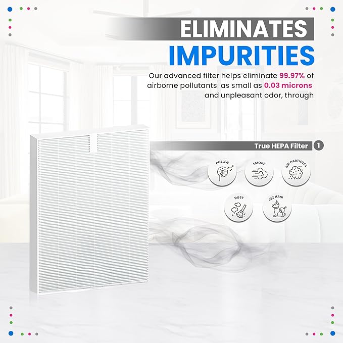 Bagean C545 HEPA Filter S Compatible with Winix Air Purifier Filter Replacement 1712-0096-00 - H13 True HEPA with Activated Carbon Filters 99.97% Particles and Purifies Air (4 HEPA)