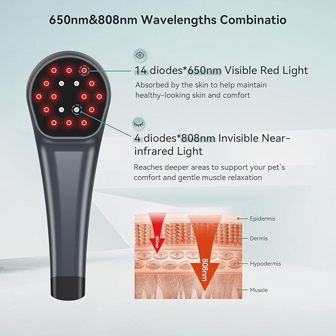 Dog Red Light Therapy Device, 650nm & 808nm Near Infrared Red Light Therapy Wand for Human and Pets, Portable Handheld Red Light Therapy for Joint, Muscle