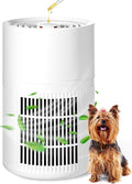 Blosssound Small Portable Air Purifiers for Dorm Room Pet Bedroom Office Home with 3-in-1 Filter Fragrance Box White Mini Air Purifier Quiet Sleep for Desk Allergies Smoke Pet Dander Hair Dust