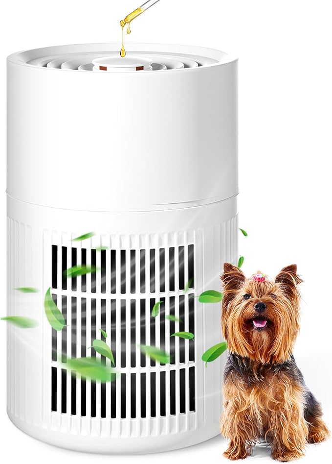 Blosssound Small Portable Air Purifiers for Dorm Room Pet Bedroom Office Home with 3-in-1 Filter Fragrance Box White Mini Air Purifier Quiet Sleep for Desk Allergies Smoke Pet Dander Hair Dust