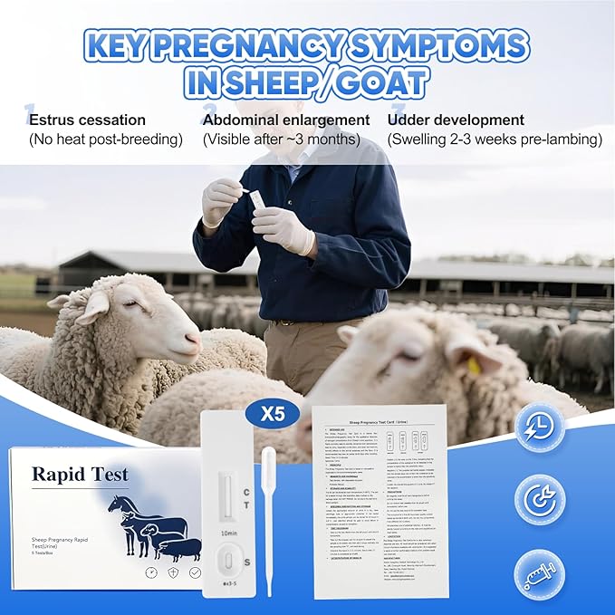 Sheep Goat Pregnancy Test Kit, 5 Pieces Urine Test Strips for Ewe Early Detection, Results in 5-15 Mins, Accurate & Easy Home Farm Use