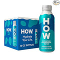 HOW Hyperpure Oxygenated Water - Infinitely Recyclable, Oxygen Enriched, Microplastic Free Purified Water 16oz Aluminum Bottle