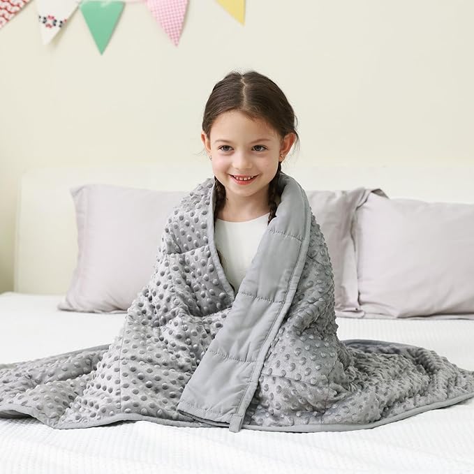 Mr. Sandman Weighted Blanket 3LBS 36 x 48 Inches, Minky Dots Heavy Blanket with Glass Beads, Soft and Cooling for School and Home, Grey