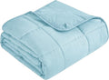 Topcee Weighted Blanket for Adults (20 lbs, 60" x 80") Queen Size Soft Cooling Heavy Blanket Sleeping, Apply to 190-210 lbs Body, Thick Breathable Blanket with Glass Bead, Easy Care