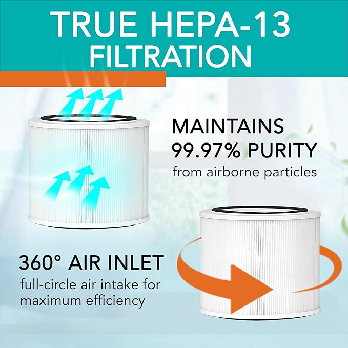 Filter Replacement for H250 HEPA-13 Air Purifier | 2-Pack