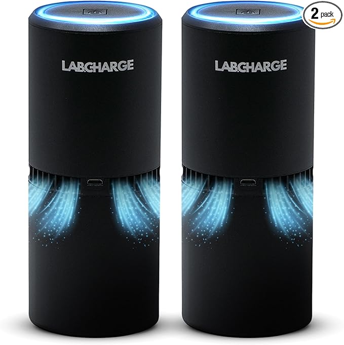 LabCharge Small Ionic Air Purifier for Home & Bedroom – Silent HEPA Filter – Covers 250 Sq Ft - Free Cleaner for Pets, Hair, Smoke, Dust, Odors & Dander – Compact & Black Design - Pack of 2
