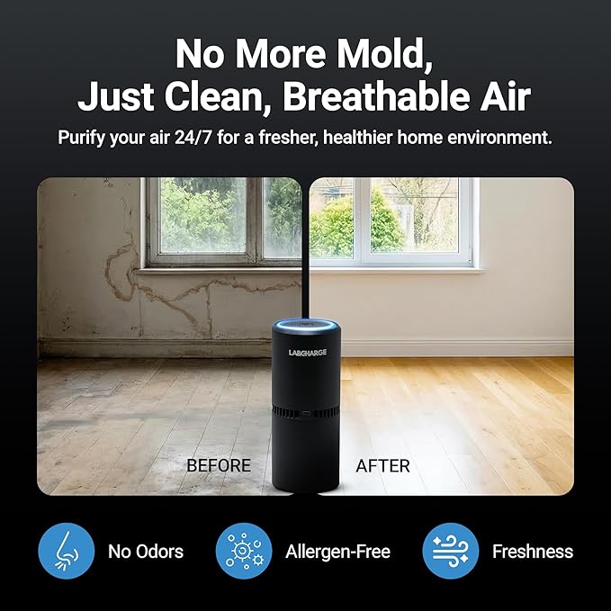 LabCharge Compact Air Purifier - Covers 250 Sq Ft - Ideal for Bedroom or Dorm Room - Silent HEPA Filter Captures Dust and Pollutants - Portable, Mini Air Purifier for Small Spaces