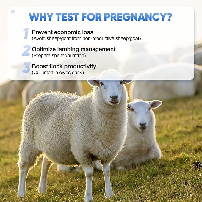 Sheep Goat Pregnancy Test Kit, 5 Pieces Urine Test Strips for Ewe Early Detection, Results in 5-15 Mins, Accurate & Easy Home Farm Use