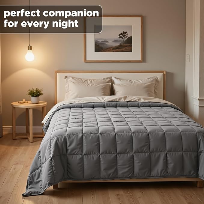 Smart Queen Weighted Blanket for Adults, Full Size 48x72,10lbs, Soft Heavy Blanket Machine Washable for Fall, Bedding &Napping with Premium Glass Beads (48x72 | 10lbs Grey)