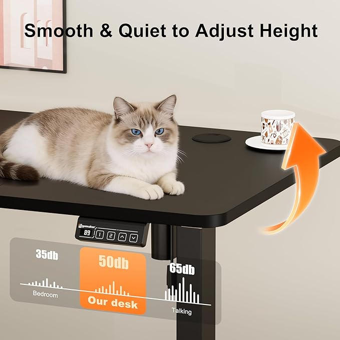 ERGOMAKER Electric Standing Desk, 63" x 23.6" Height Adjustable Sit Stand Desk with Splice Board for Home Office, Computer Desk Memory Preset (Black Frame, Black Desktop)