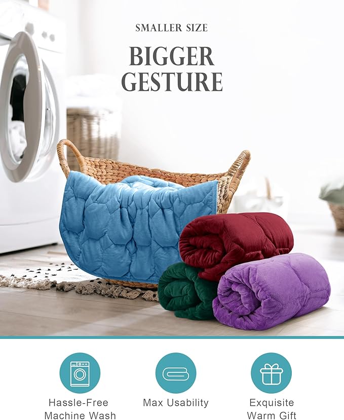 Cottonblue Weighted Lap Blanket Pad 7 lbs 29" x 24", Cozy Luxury Crystal Velvet Weighted Blanket for Adults, Small Weighted Blanket Throw All Season for Travel Relaxation Sleeping, Red Heavy Blanket