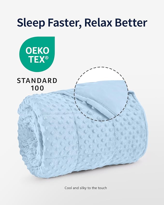 Mr. Sandman Weighted Blanket for Adults, Minky Dots Heavy Blanket for Women, Man Sleeping and Calm, Soft and Cozy Cooling Weighted Throw Blankets, Machine Washable, 48 x 72in, 15 lbs, Light Blue