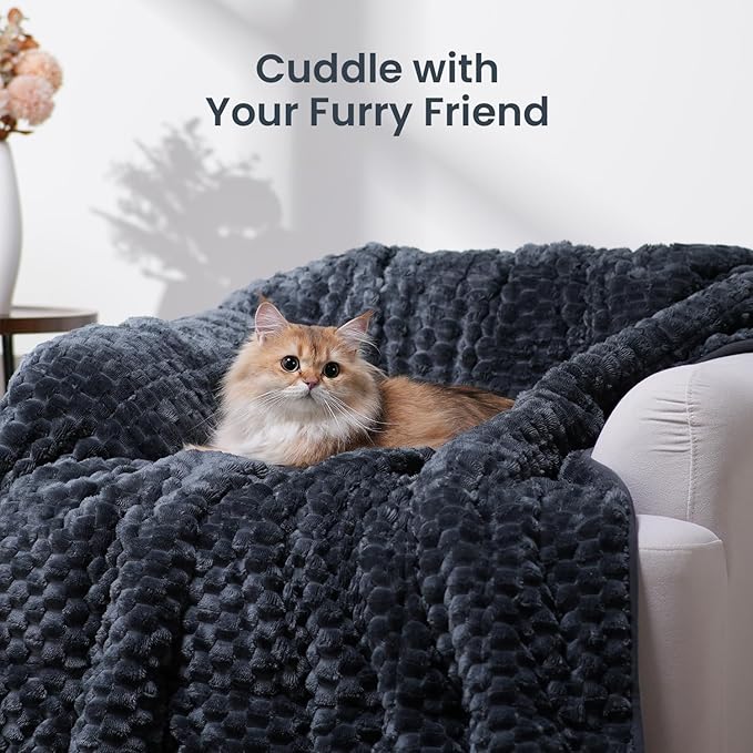 Drewin 15lbs Weighted Blanket for Adults, Ultra-Cozy Warm Jacquard Sherpa Weighted Blanket, 3D Turtleback Pattern Soft Thick Heavy Blanket for Sofa Bed, 60 x 80 inches, Grey Blue