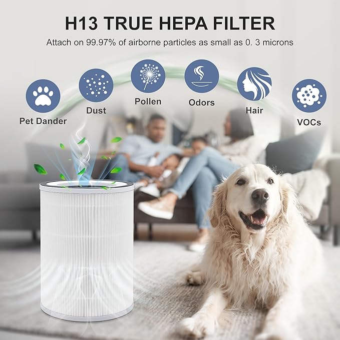 2 Pack KILO H13 True HEPA Filter Compatible with Afloia KILO, KILOPLUS, KILOPRO, MIRO,MIRO PRO and MORENTO MR-Kilo, Kalo Air Pur ifier, 360° 4-Stage Filtration（white）