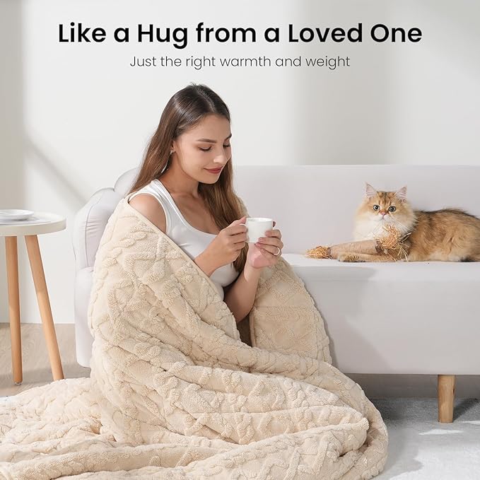Drewin Weighted Blanket Queen Size 17lbs, Classy Soft Jacquard Sherpa Weighted Blankets for Sleep Natural and Calming, Ultra-Cozy Sofa Bed Blanket for Winter, Beige, 60 x 80 inches