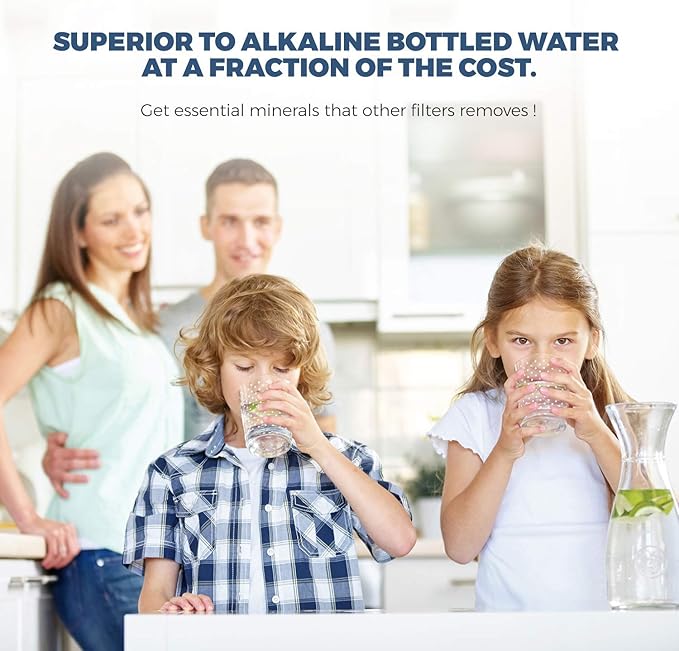 6 Stage- Alkaline Antioxidant | KDF | Mineral pH Balancing Ionizer Drinking Water Filter Inline | 2.5"x 12"