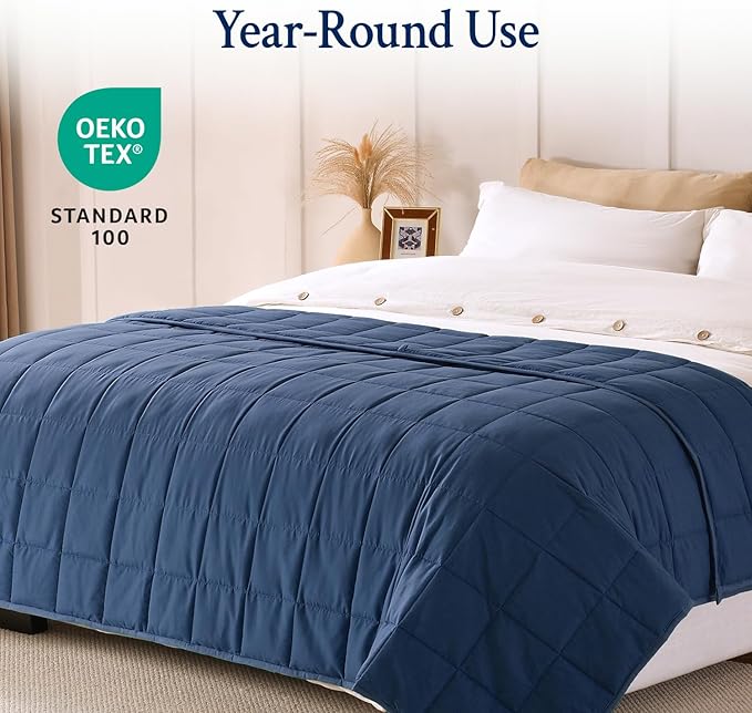 Topblan Weighted Blanket for Adults 20lbs, Soft Cooling Weighted Blankets, Breathable Heavy Blanket with Glass Beads for All Season, Sofa Bed, 60"x80" Queen Size