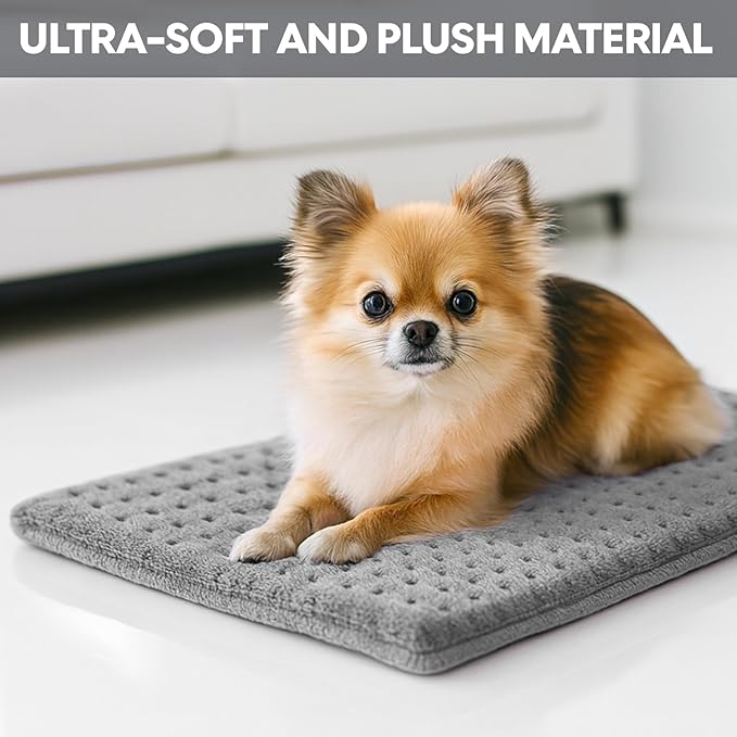 for Light Use Only · Low‑Heat Model – Curve Design Electric Heating Pad, Suitable for Women, Small Size, Dry/Moist Heat & Auto Shut Off (Curve Design)