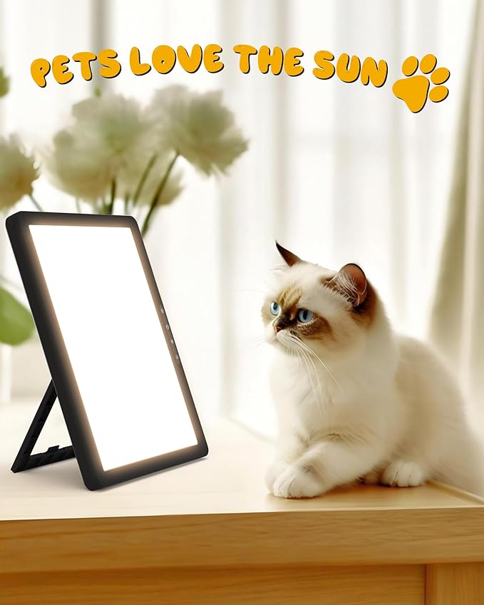 10000 Full Spectrum, UV-Free Light LED Sunlight Lamp with 3 in 1 Mount, Timer & Adjustable Brightness, Portable, Daylight for Office Reading Morning Routine